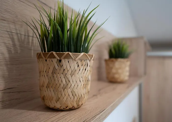 Casa vacanze Ostseecamp 